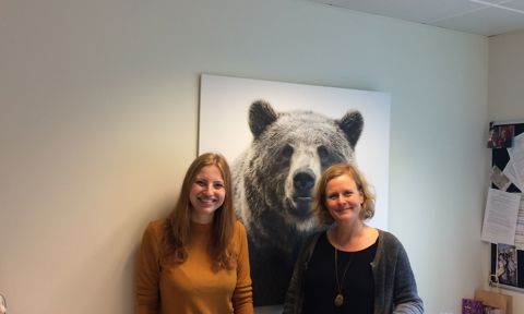 n2n Kaptsova report.JPG