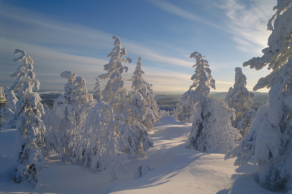 Kajaani UAS profile image 1.jpg