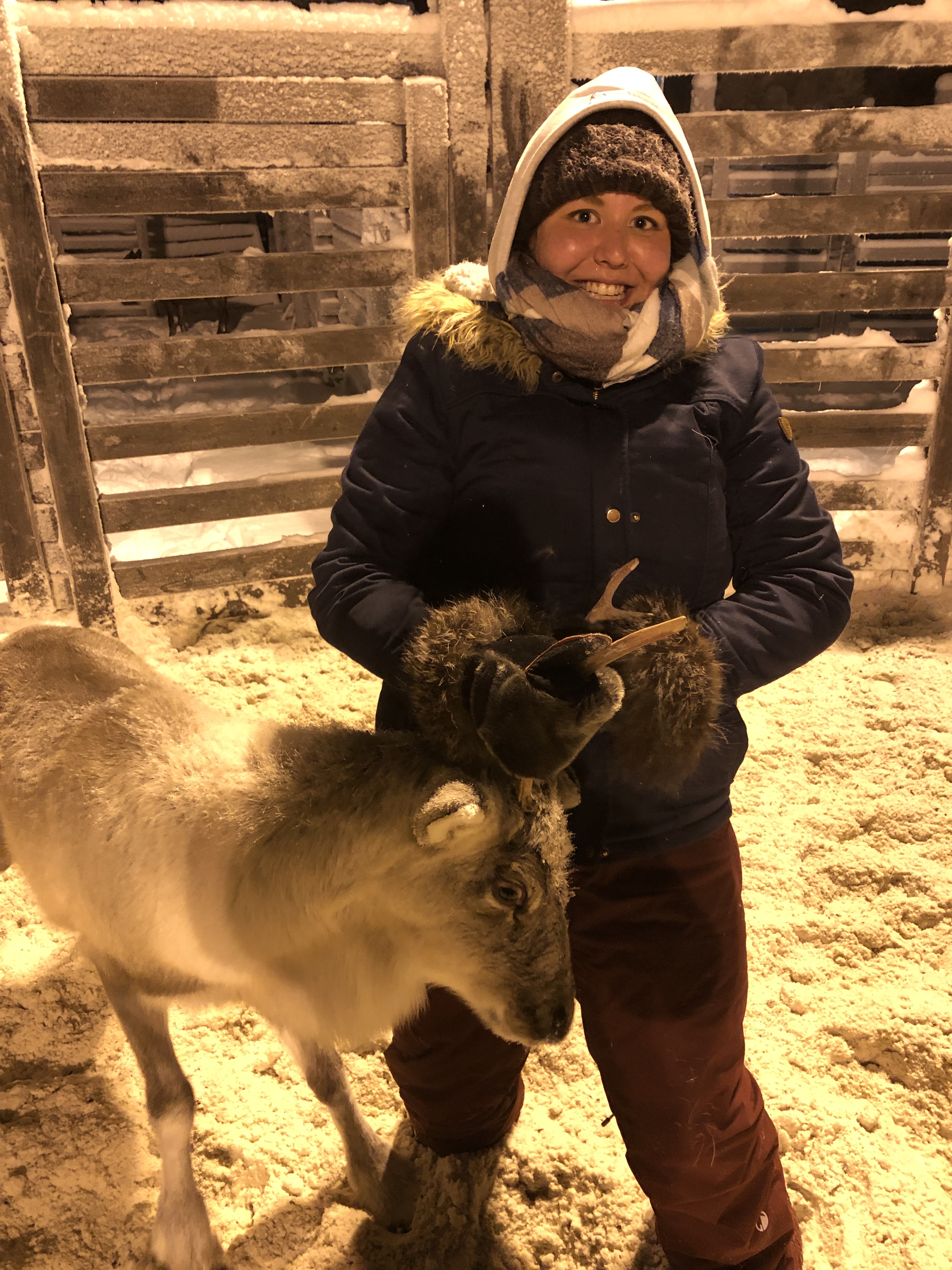 Michelle Saunders at the reindeer roundup in Sevettijärvi