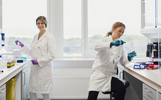 Nord University Profile 8