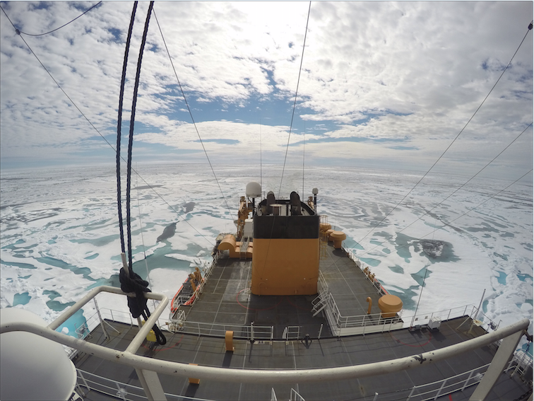 This research of Welker’s team is being co-funded by a NSF Arctic Observing Network RAPID award and UOulu’s Arctic Interaction High-Risk-High Rewarded program, supported in part by an Academy of Finland, Profile 4 award to UOulu.