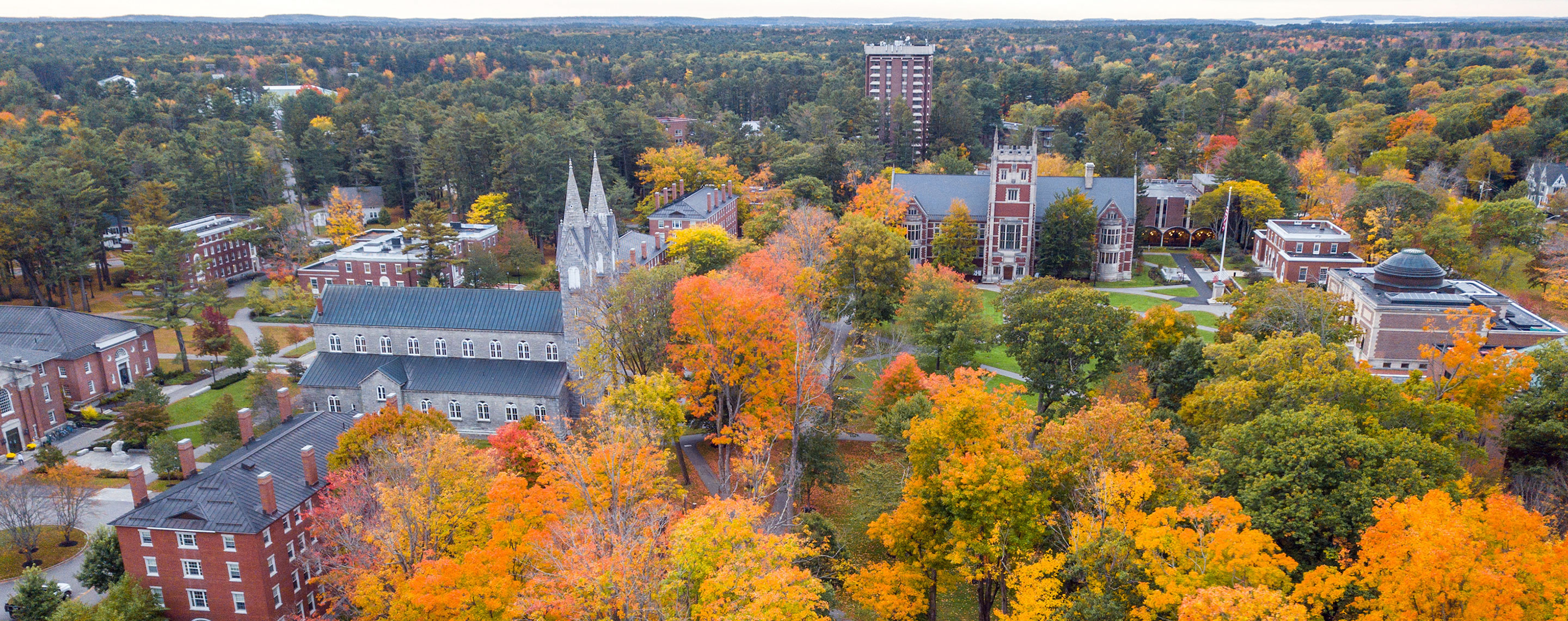 Bowdoin College, (Brunswick, Maine)