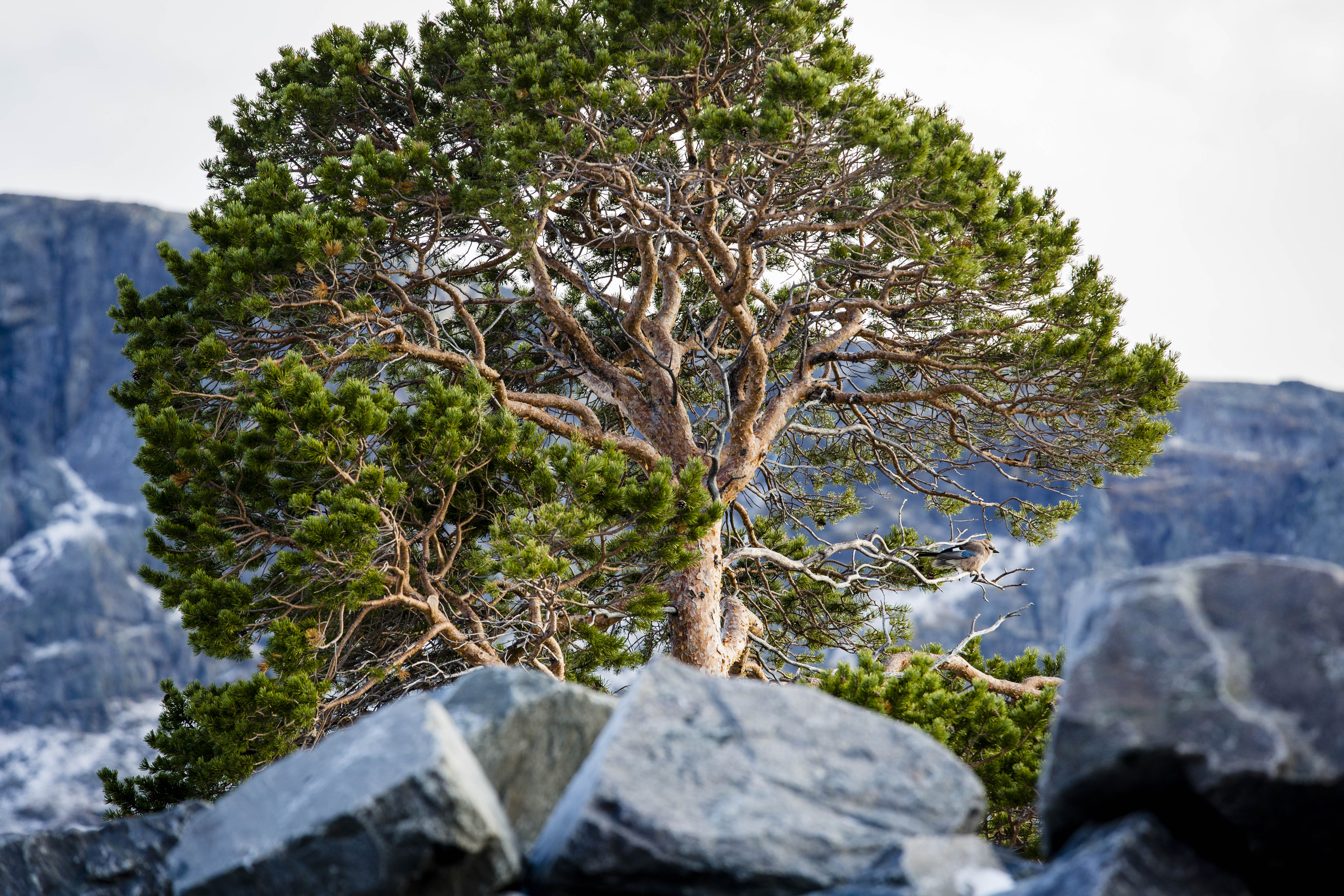 Satihaure Mm Okt13 142 Fullres CJUTSI