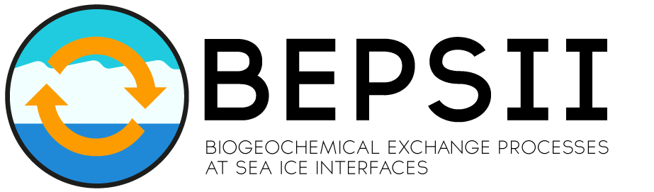BEPSII Logo