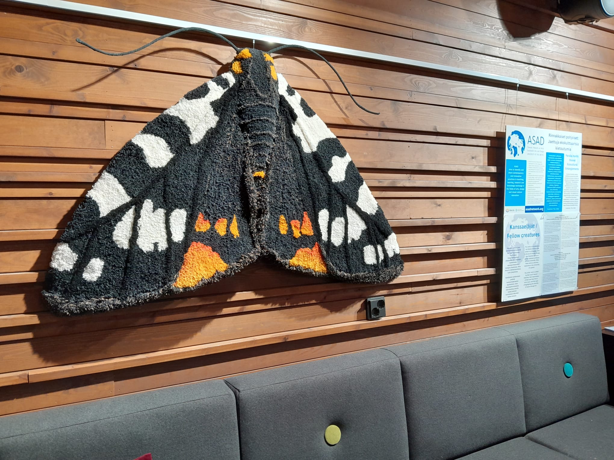Sara Rylander: ACERBIA ALPINA, Arctic tiger moth

Tufted and sculpted wool, leather antennas

The Arctic tiger moth (Acerbia alpina) occurs in Sweden only on a single mountain peak, Nissuntjårro in the Abisko area. The species is strongly threatened, and ongoing climate change risks completely altering the conditions for its survival. The tufted butterfly is an attempt to give physical presence to something that in nature is both exposed and elusive.