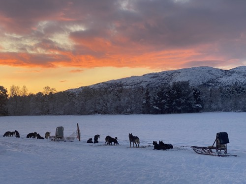 Photo by Robert Cole Funke