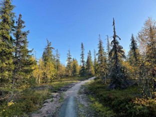 Hiking and camping in Pyhä-Luosto National Park